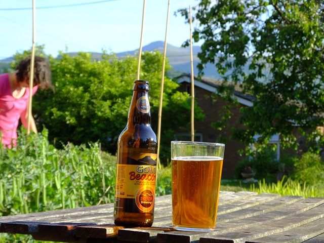 Gold Beacon ale, Pen y Fan, and Naomi picking peas